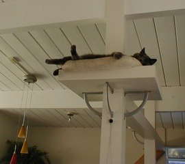 棚,柱,作り付け