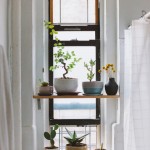 棚と出窓にたくさんの盆栽的な鉢がディスプレイされた、縦長の上げ下げ窓の窓際