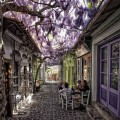 暖かみのあるギリシアのローカルな小道の風景